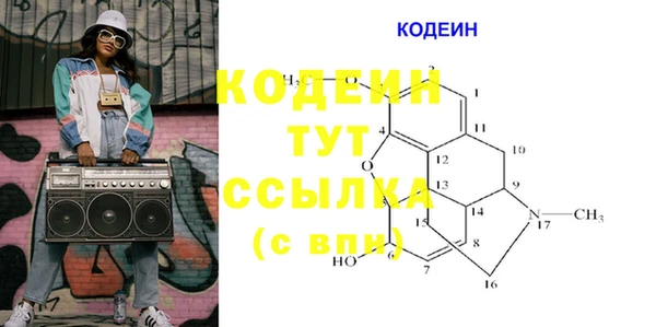 соль ск Арсеньев