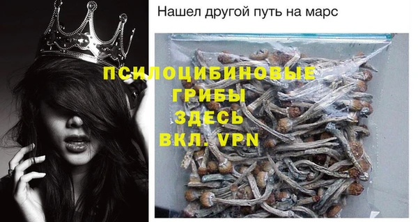 spice Алексеевка