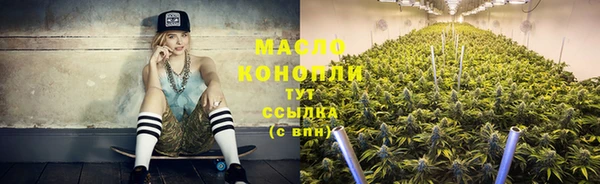 крисы Богородск