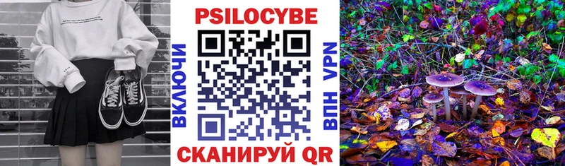 Галлюциногенные грибы GOLDEN TEACHER  купить закладку  ОМГ ОМГ ТОР  Коломна 